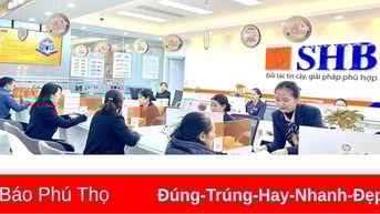 Chuyển đổi số để phát triển bền vững