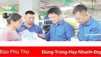 ប្រសិទ្ធភាពនៃក្លឹបយុវជន ក្រុម ក្រុម និងគំរូក្រុម
