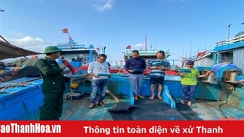 Thanh Hoá công bố danh sách 506 tàu cá có nguy cơ cao vi phạm quy định về chống khai thác IUU