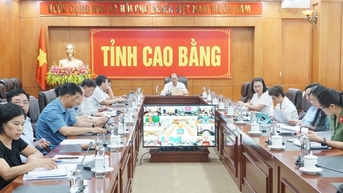 Chính phủ họp trực tuyến với các địa phương về Nghị định quy định về đất trồng lúa