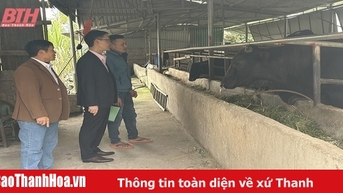 Hỗ trợ giảm lãi suất cho vay đối với khách hàng bị ảnh hưởng của bão số 3