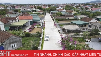 Can Loc의 새로운 시골 지역에서 보라색 부겐빌레아 꽃이 피어납니다.