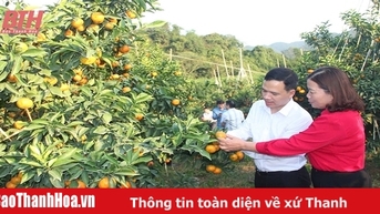 Trang trại triệu đô