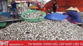 Vì sao hợp tác xã Hà Tĩnh khó tiếp cận vốn từ ngân hàng?