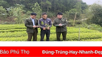 Quản lý sản xuất, kinh doanh giống cây lâm nghiệp
