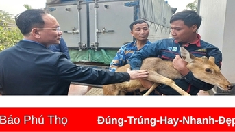 Bàn giao hươu sao lấy nhung hỗ trợ hộ dân thoát nghèo