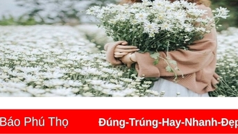 Họa mi vương vấn
