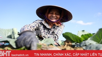 Truyện ngắn: Cánh đồng mùa xuân
