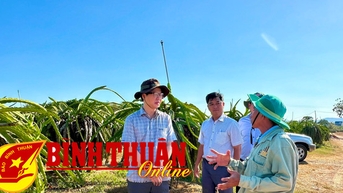 Khắc phục khó khăn, nâng cao chất lượng phong trào nông dân