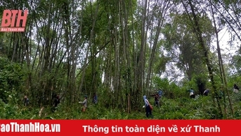 Xã vùng biên Tam Lư huy động nguồn lực XDNTM nâng cao