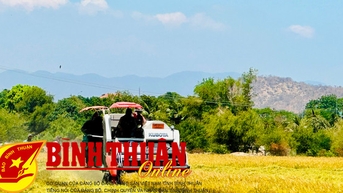 រដូវ​ប្រមូល​ផល​កំពុង​តែ​អ៊ូអរ​!