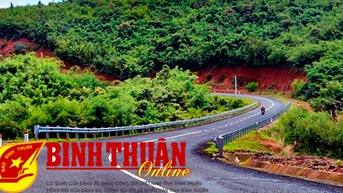 Cung đèo “uốn mình” qua khu rừng già