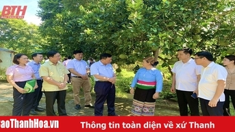 Phát huy vai trò “huyết mạch” dẫn dắt nền kinh tế