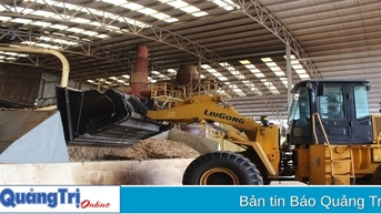 Mới chỉ có 2/10 dự án sản xuất viên nén năng lượng đã được chấp thuận đầu tư đi vào hoạt động