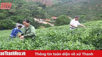Giữ vững vai trò trụ đỡ nền kinh tế