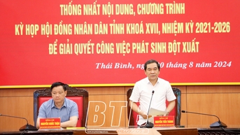 Chuẩn bị chu đáo cho kỳ họp HĐND tỉnh để giải quyết công việc phát sinh đột xuất