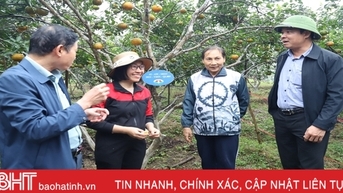 Phân bón Quế Lâm tăng hiệu quả sản xuất cho cây trồng ở Hương Sơn