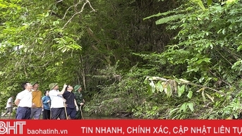 Dấu tích căn cứ địa phong trào Cần Vương ở Hà Tĩnh