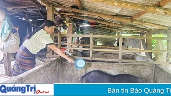 Tiếp sức cho phụ nữ vùng khó thoát nghèo