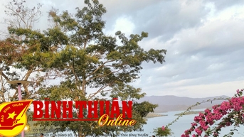 Đa Mi đón hơn 4.000 lượt khách