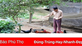 Yên Sơn nỗ lực thoát nghèo