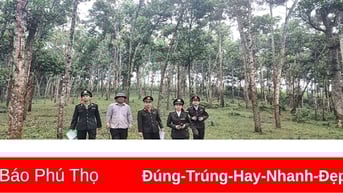 Kỳ I: Trợ lực kịp thời