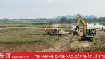 Trồng lúa hữu cơ kết hợp nuôi rươi, cáy ở Nghi Xuân