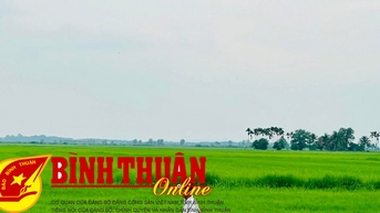 អភិវឌ្ឍតំបន់ផលិតអង្ករប្រកបដោយគុណភាពខ្ពស់