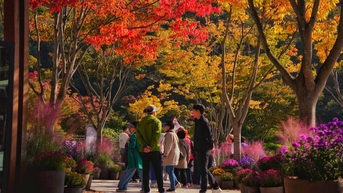 한국 가을, 항공료 할인으로 베트남 관광객 유치