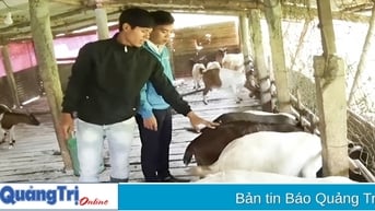 Thanh niên Hướng Hóa sử dụng hiệu quả vốn vay ưu đãi để lập nghiệp