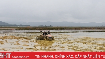 Chuyển đổi ruộng đất, Lộc Hà giảm 9.192 thửa