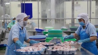 Chấm dứt tranh chấp trong áp dụng thuế phòng vệ thương mại với cá tra vào Hoa Kỳ
