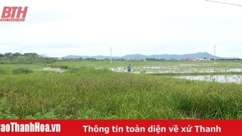 Giải bài toán bỏ ruộng hoang