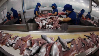 HSBC៖ វៀតណាម​ត្រលប់​មក​វិញ​ក្នុង​នាម​ជា​តារា​កំណើន​របស់​អាស៊ាន