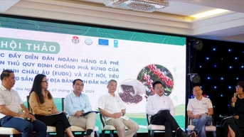 Những việc Đắk Nông cần làm ngay để thích ứng quy định EUDR