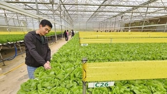 Từ vụ giá ngâm chất cấm, phải tăng trách nhiệm với doanh nghiệp, siêu thị