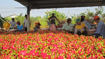 កំណត់ត្រាថ្មីជាច្រើនក្នុងការប្រើប្រាស់ផលិតផលកសិកម្ម