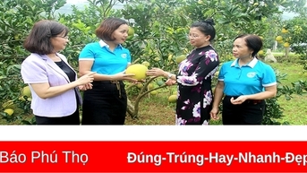 Giúp phụ nữ phát triển kinh tế