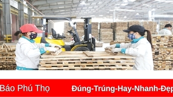 Năm mới, khí thế mới