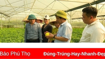 Động lực phát triển nông nghiệp, nông thôn