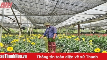 꽃과 관상용 식물 시장은 설날 시즌에 활기가 넘칩니다.