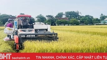 Rộn ràng thu hoạch lúa hè thu ở Hà Tĩnh