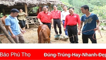 ក្រឡេកមកមើលពាក់កណ្តាលអាណត្តិនៃការអនុវត្តសេចក្តីសម្រេចចិត្តរបស់សមាជគណៈប្រតិភូសមាគមកាកបាទក្រហមខេត្ត Phu Tho