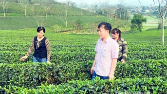 Thị trường Halal: Cánh cửa mới cho nông sản