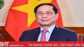 រដ្ឋមន្ត្រី Bui Thanh Son បានអបអរសាទរ Ha Tinh ក្នុងឱកាសដែលគ្រូពេទ្យដ៏អស្ចារ្យ Hai Thuong Lan Ong ត្រូវបាន UNESCO ផ្តល់កិត្តិយស។