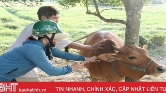 ការទប់ស្កាត់ប្រភពនៃការឆ្លងមេរោគដោយផ្តោតលើការគ្រប់គ្រងជំងឺស្បែកដុំពកនៅក្នុងសត្វគោក្របី