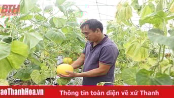 Hiệu quả từ những khu vườn mẫu