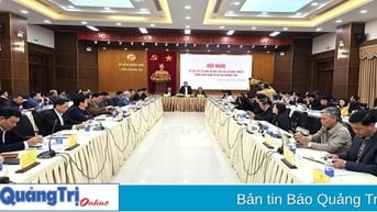 UBND tỉnh triển khai sắp xếp, tổ chức lại các cơ quan, đơn vị
