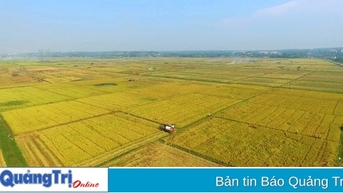 ឆ្នាំរុងរឿងសម្រាប់វិស័យកសិកម្មខេត្ត Quang Tri