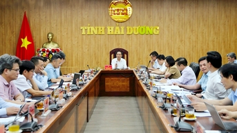 Hải Dương xử lý 424 công trình vi phạm trên đất rừng